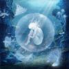Download track 7seas