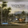 Download track Flute Concerto In D Major, TWV 51: D3 