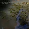 Download track Dark Forest
