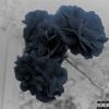 Download track I'm A Freak