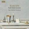 Download track Sonata In G Minor Hob. XVI: 44 - II. Allegretto