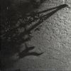 Download track The Trees
