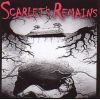 Download track Fear Not