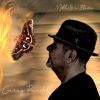 Download track Moth To A Flame