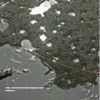 Download track The Tree
