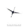 Download track Sto Te Nema