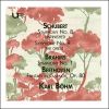 Download track Symphony No. 1 In C Minor, Op. 68: I. Un Poco Sostenuto - Allegro (Live)