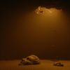 Download track Machine-Driven Eschatology