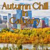 Download track Midnight Cowboy (From Macadam Cowboy)