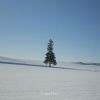 Download track I'll Tell You How I'm Doing (New Age)