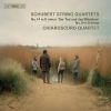 Download track String Quartet No. 9 In G Minor, D. 173- III. Menuetto. Allegro Vivace