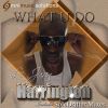 Download track What U Do (Voodoo) (Soledrifter Remix)