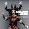 Download track Anonymous: Maria Durch Ein Dornwald Ging (Arr. For Soprano, Violin And Orchestra By Wolfgang Katschner)