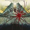 Download track My Kingdom - Path 9