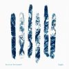 Download track Not A Long Time Ago