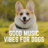 Download track A Relaxing Sound For A Dog