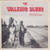 Download track Roamin' And Ramblin' Blues