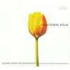Download track 10. Concerto II In D Minor - I. Allegro
