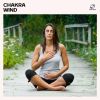Download track Zen Nature Sounds