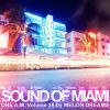 Download track Until Hell Freezes Over (Ferry Tayle Remix)