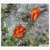 Download track Pastorale
