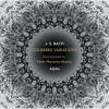 Download track 23. Goldberg Variations, BWV 988 (Arr. P. Navarro-Alonso) - Variatio 22. A 1 Clav.