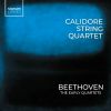 Download track String Quartet No. 4 In C Minor, Op. 18 No. 4 - III. Menuetto. Allegro