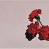Download track What If I Told You? (Interlude)