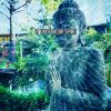 Download track Cleanse Against Umbrage
