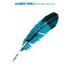 Download track B4 Spring