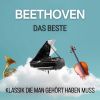 Download track Violin Sonata No. 1 In D Major, Op. 12: III. Rondo (Allegro)