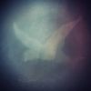 Download track Beards Have Mystical Powers, Proceed With Caution