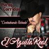 Download track El Gallo De San Juan
