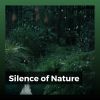 Download track Spring Bird Sounds