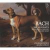Download track 2. Violin Sonata No. 1 In B Minor BWV 1014: II. Allegro