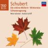 Download track Winterreise, D. 911: Nr. 3. Gefrorne TrÃ¤nen