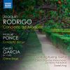 Download track Concierto Del Sur I. Allegro Moderato