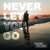 Download track Never Let You Go