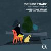 Download track Gretchen Am Spinnrade, D. 118