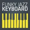 Download track The Jumpin' Blues (Remastered)