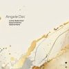 Download track Angele Dei'