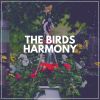 Download track Raining Lights
