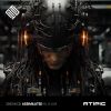 Download track Assimilated