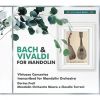 Download track Chamber Concerto In D Major, RV 93 (Arr. For Mandolin, Guitar & Mandolin Orchestra) III. Allegro