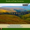 Download track Concerto For Violin And Cello In A Minor, Op. 102: 2. Andante