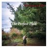 Download track The Perfect Plan