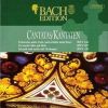 Download track Ich Geh Und Suche Mit Verlangen BWV 49 - I Sinfonia