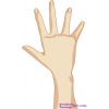 Download track Hands Up