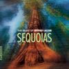 Download track String Quartet No. 2: I. Tense, Expectant