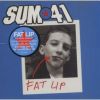 Download track Fat Lip